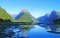 Amazing New Zealand Tour
